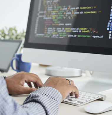 Developer